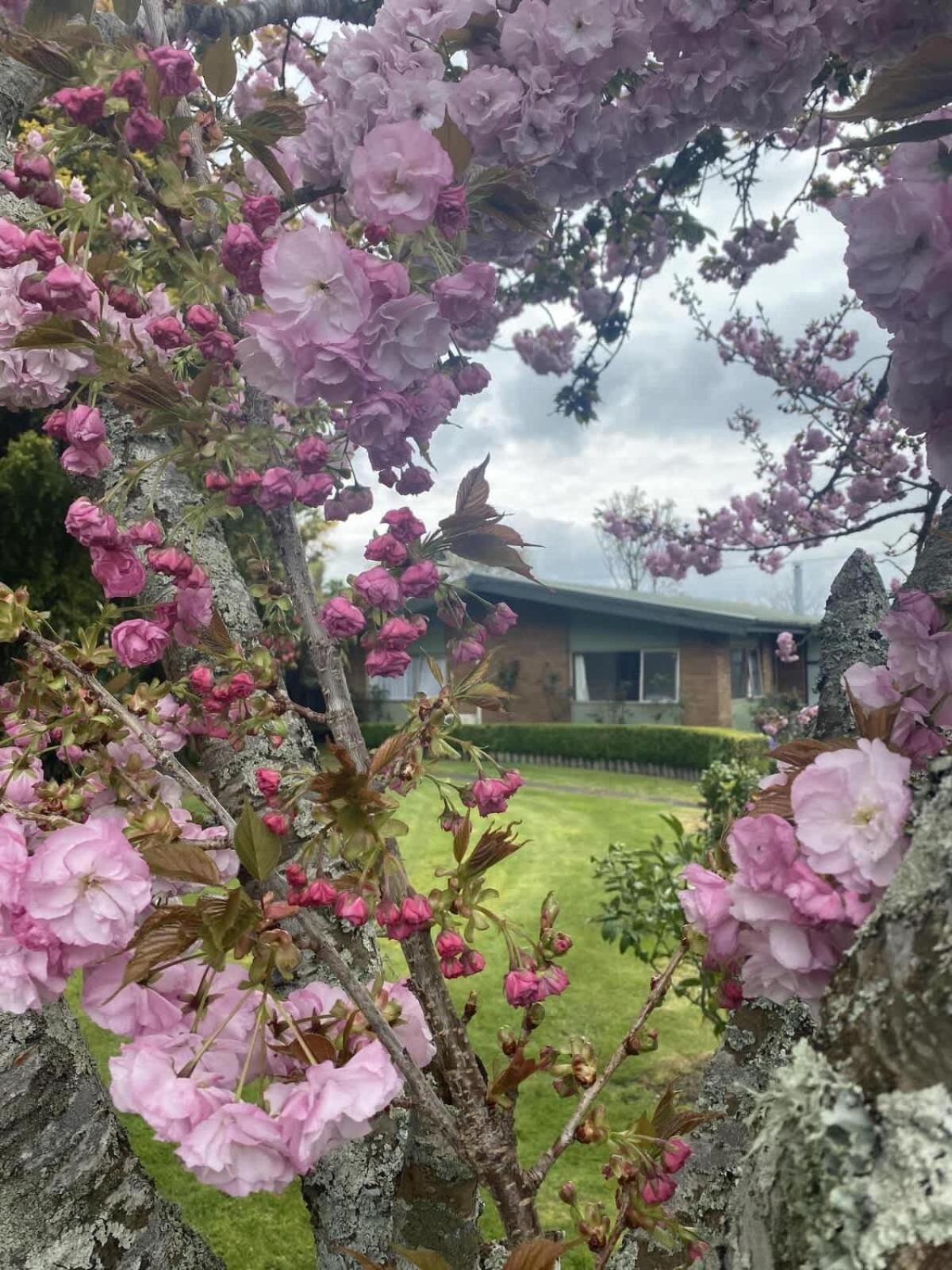 Roselake Retreat Rotorua Ngoại thất bức ảnh